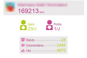 pages_analyzer_facebook_fanpage_insights_webchronique